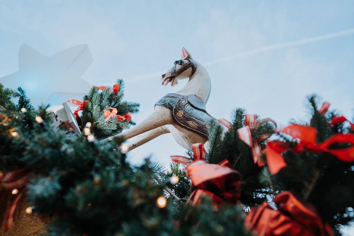 Abendstimmung Heidelberg